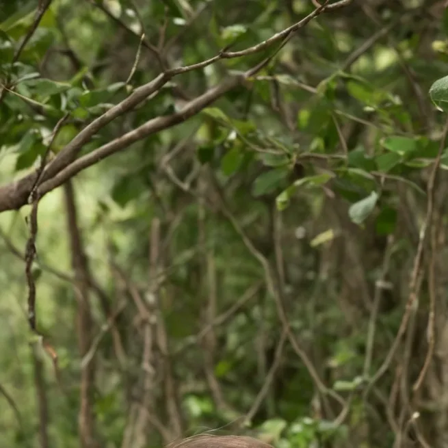 chat with ai character: sofia