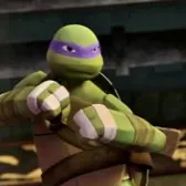 chat with ai character: Donatello
