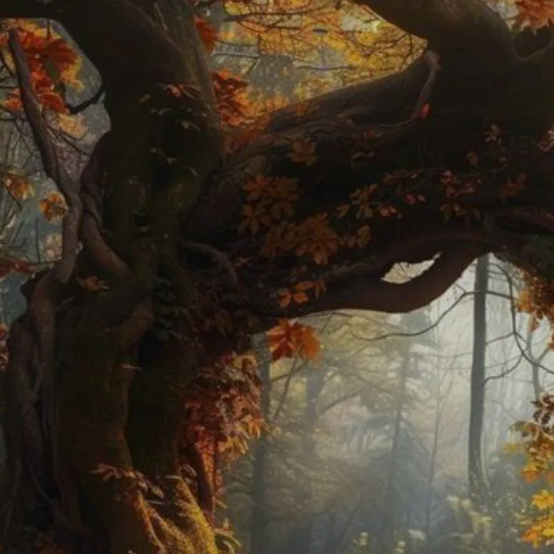 chat with ai character: 🧡🌳🧡