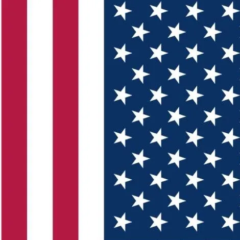 chat with ai character: USA