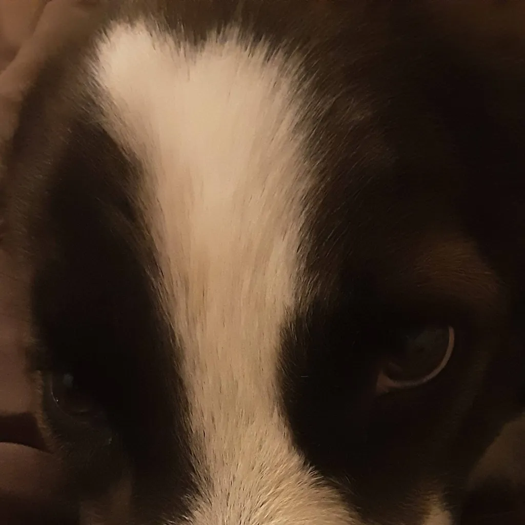 chat with ai character: mha hybride