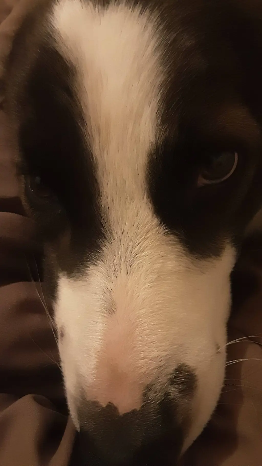 ai character: mha background