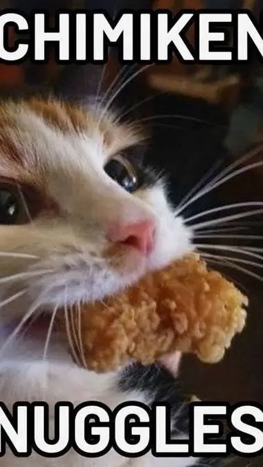 ai character: HH, sickness curse background