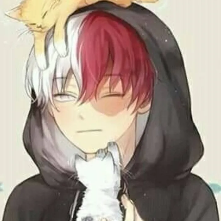 chat with ai character: règles MHA 