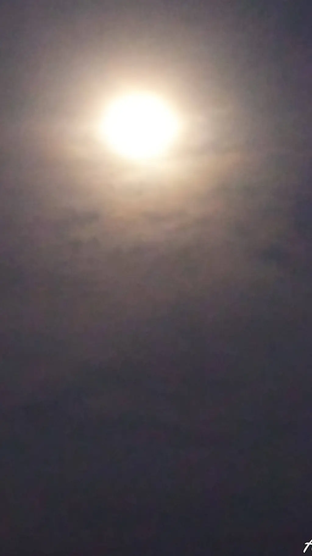 ai character: Arya/me background