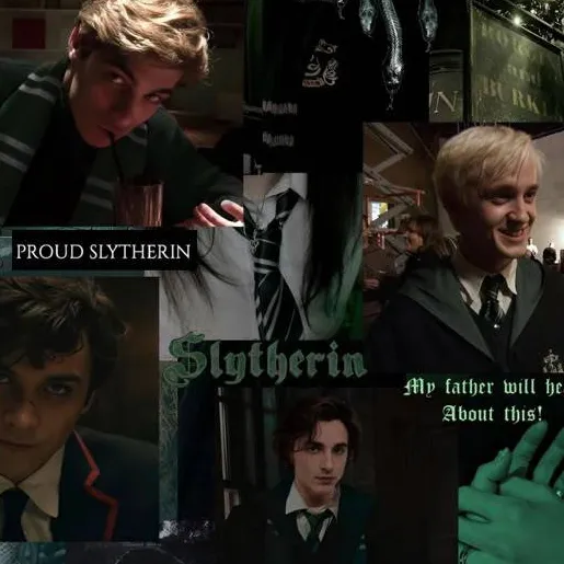 chat with ai character: ~|Slytherin boys|~