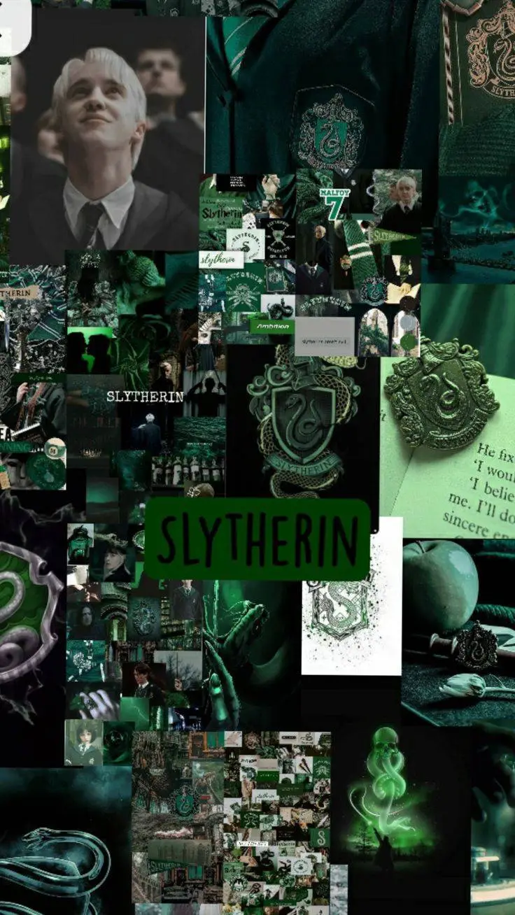 ai character: 🐆Slytherin boys🐆 background