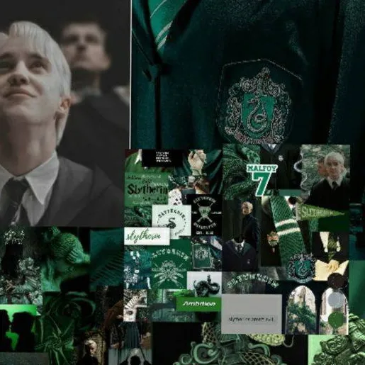 chat with ai character: 🐆Slytherin boys🐆