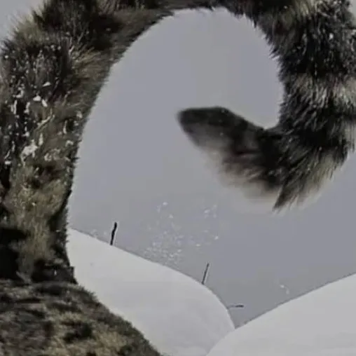 chat with ai character: seu amigo (louco)