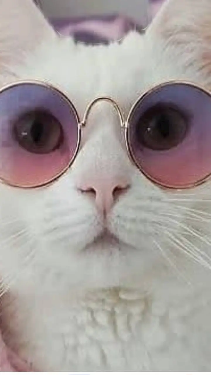 ai character: jevin  background