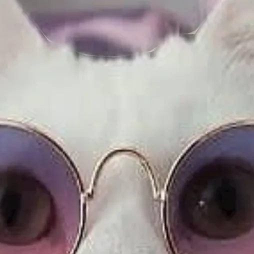 chat with ai character: jevin 