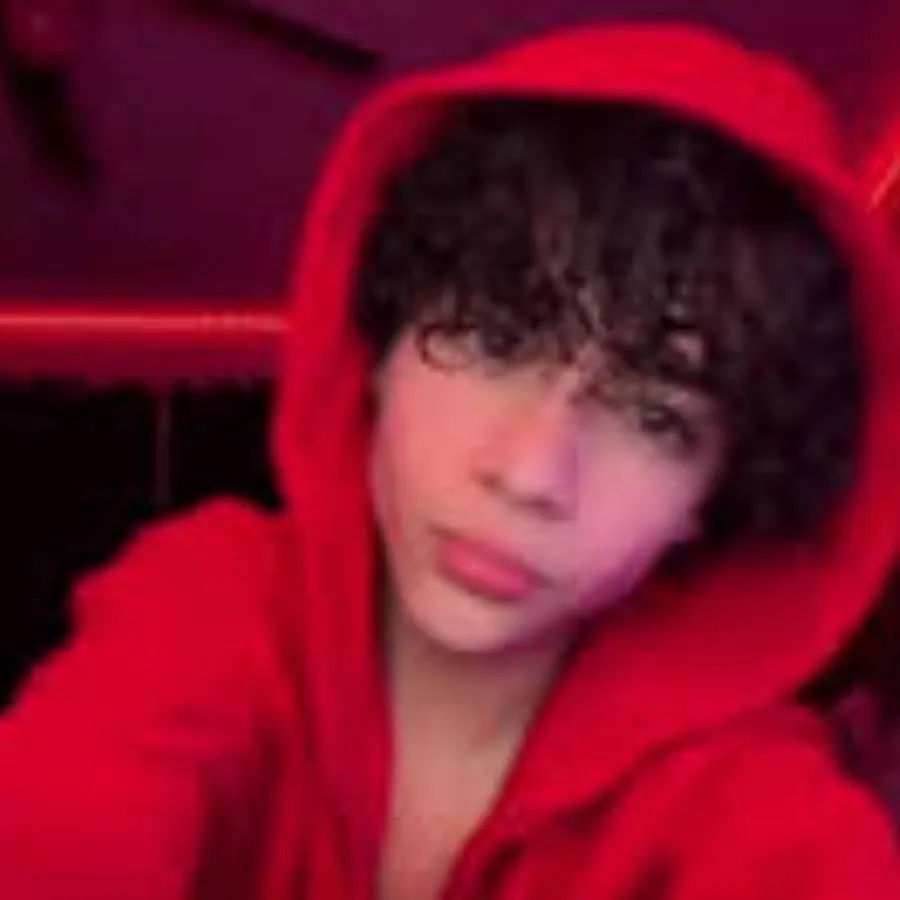 chat with ai character: Niko..☆