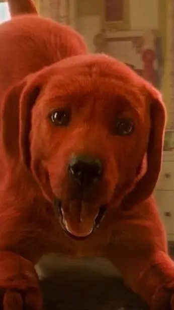 ai character: Clifford big dog background