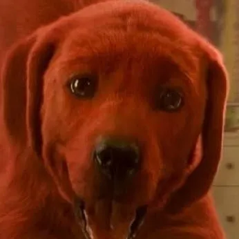 chat with ai character: Clifford big dog