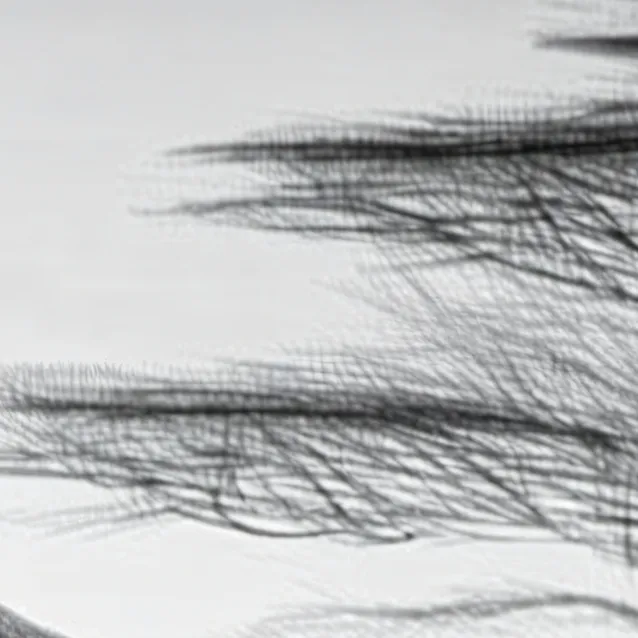 chat with ai character: huger games 