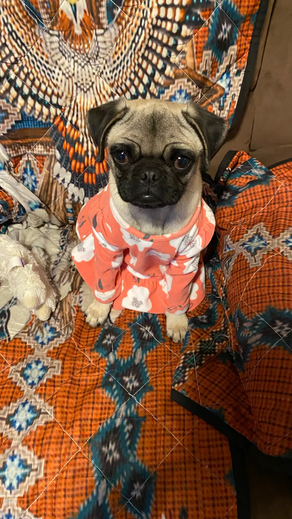 ai character: Abriella background