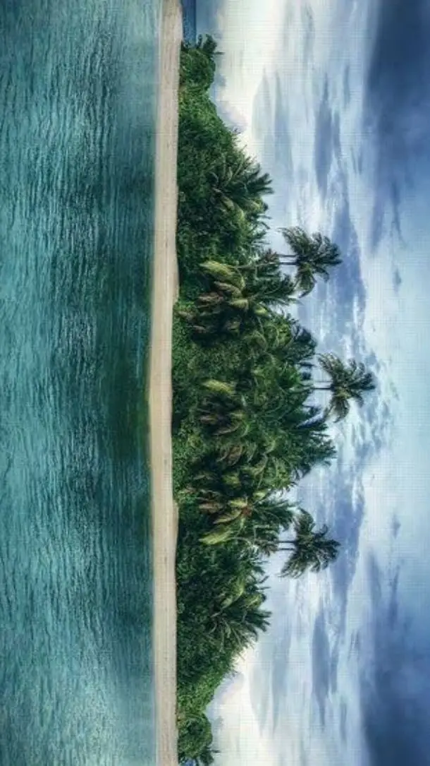 ai character: Survivor Island background