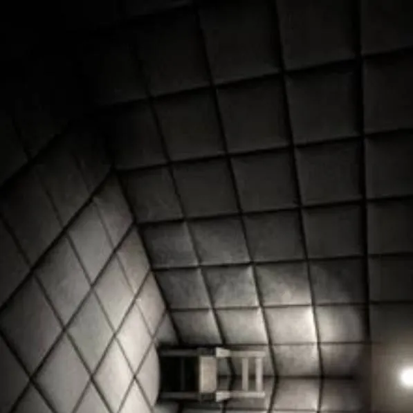 chat with ai character: Asylum