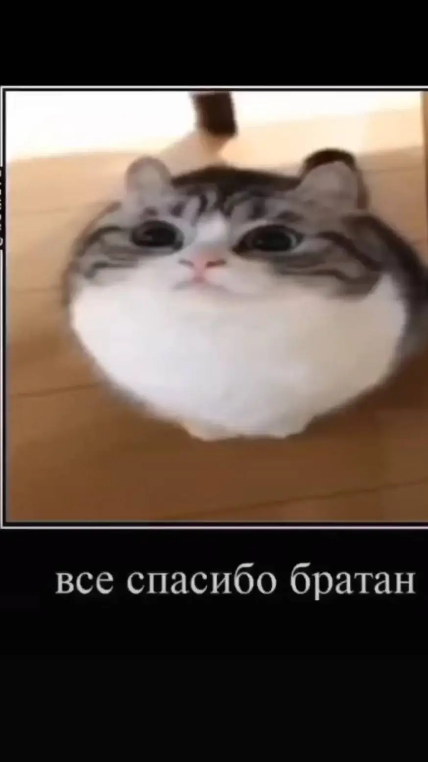 ai character: васян background