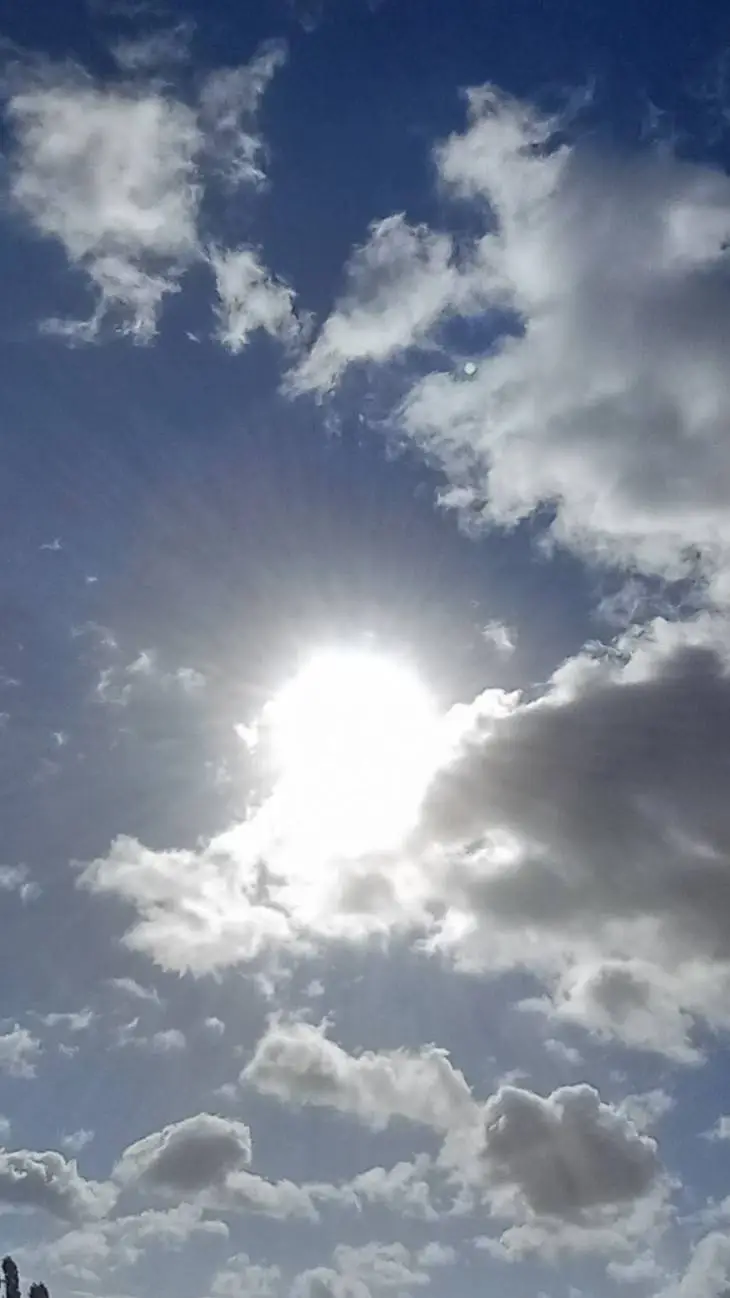 ai character: get OUT background