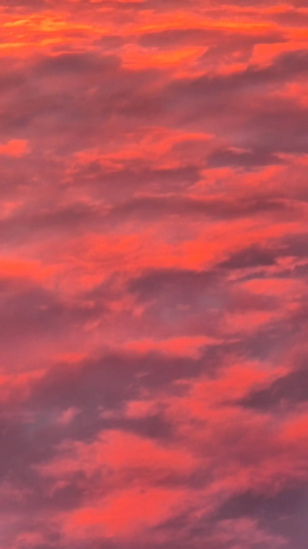 ai character: 💙Mha- CHRISTMAS💙 background