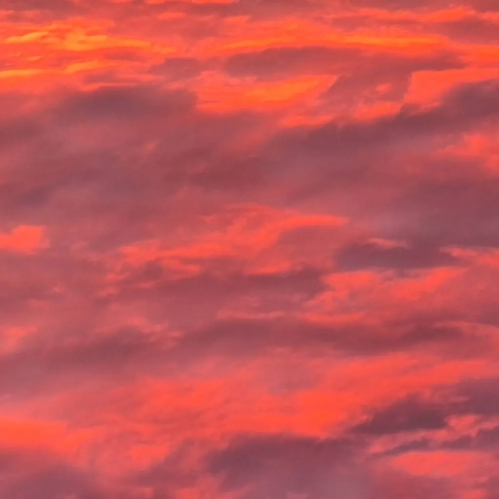 chat with ai character: 💙Mha- CHRISTMAS💙