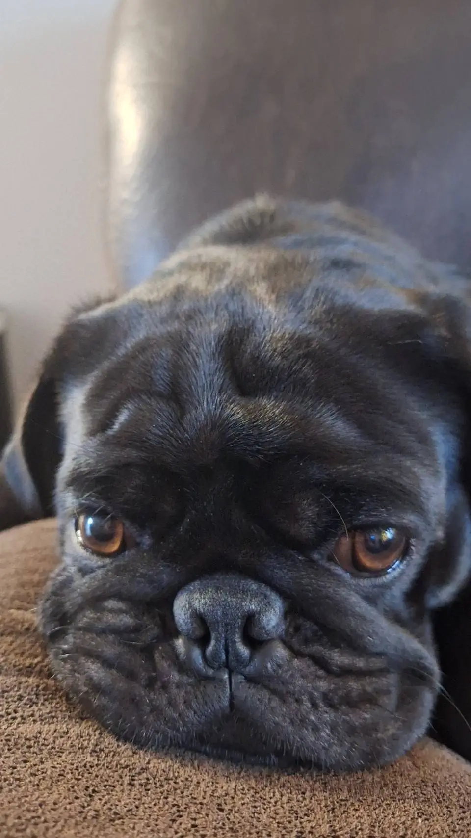 ai character: MHA- car crash background