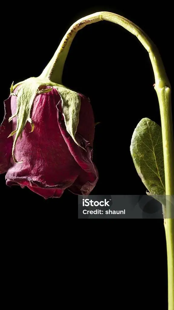 ai character: Enough of ts shit  background