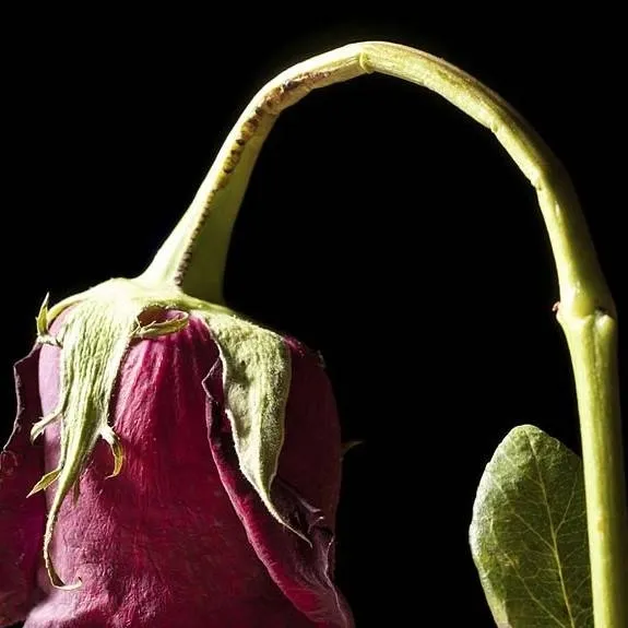 chat with ai character: Enough of ts shit 