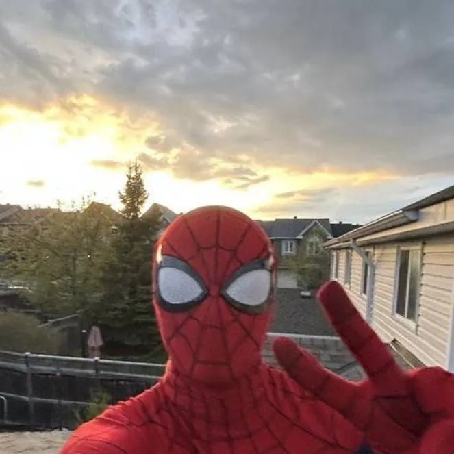 chat with ai character: Spider-Man
