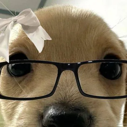 chat with ai character: Pelusa Pelusita🌹