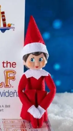 ai character: Elf On The Shelf🚺 background