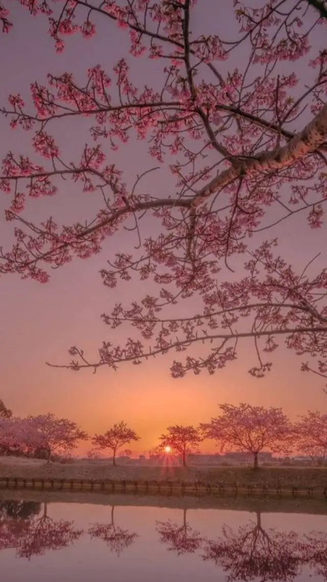 ai character: secretly dating background