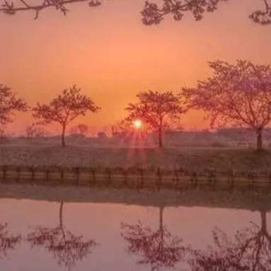 chat with ai character: secretly dating