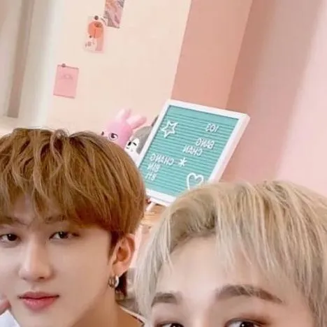 chat with ai character: Chan and Changbin 
