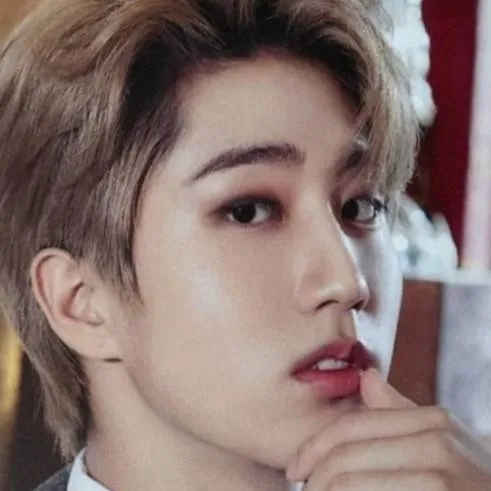 chat with ai character: Han Jisung