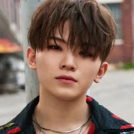 chat with ai character: Woozi 