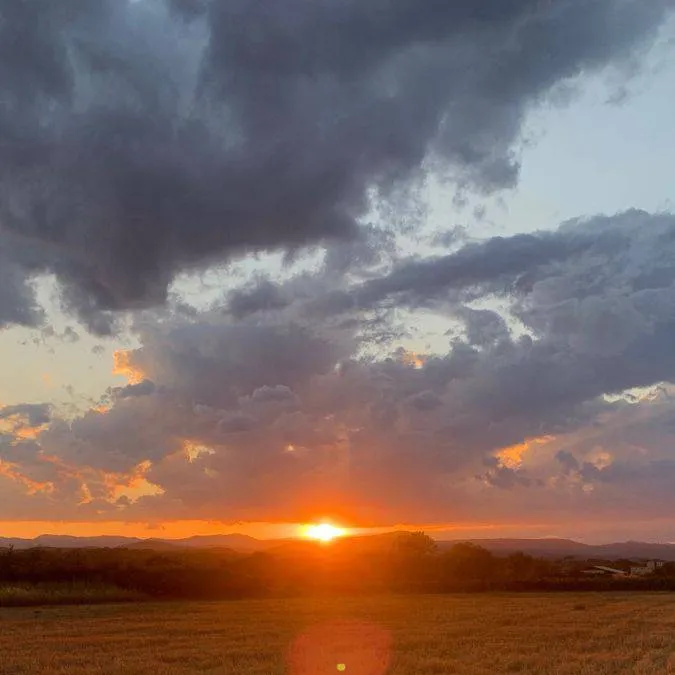 chat with ai character: k-pop idol school🏫