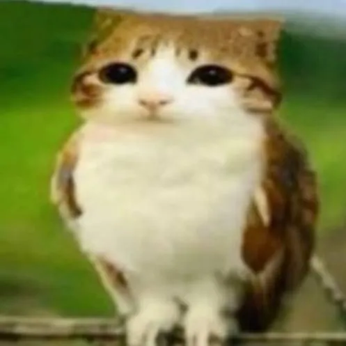 chat with ai character: Meowl