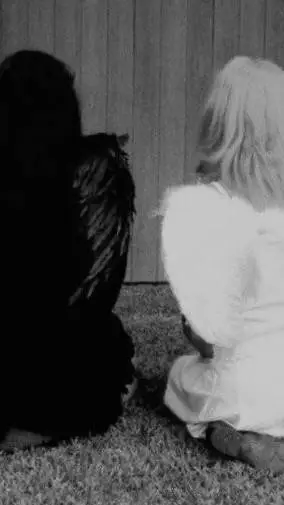 ai character: ангел(я) background