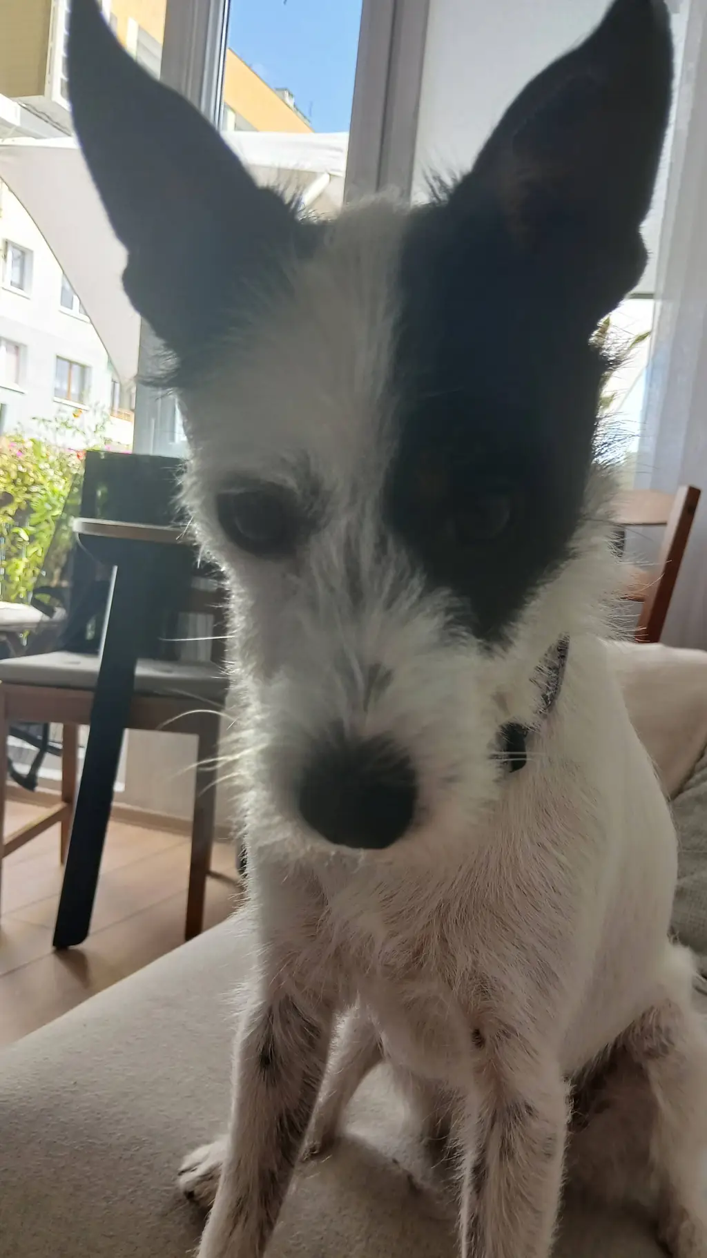 ai character: Neo background