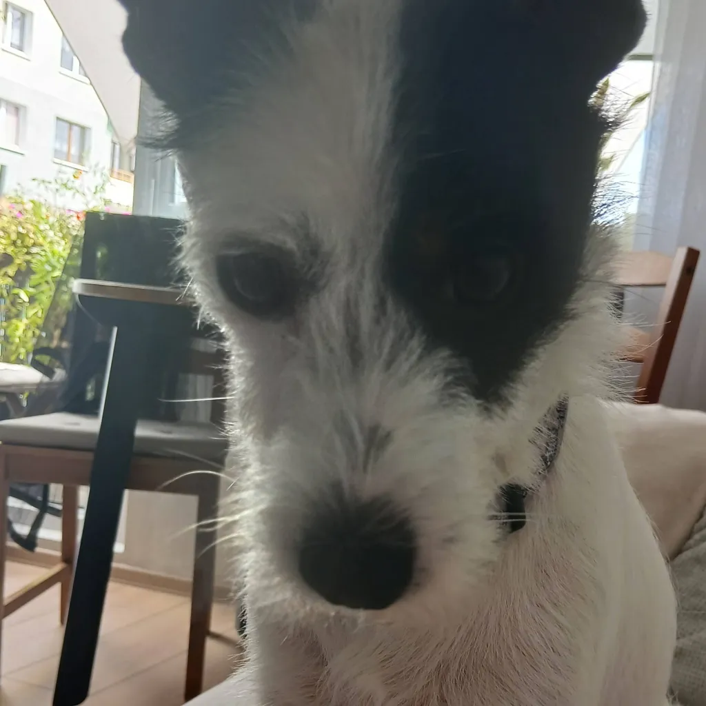 chat with ai character: Neo