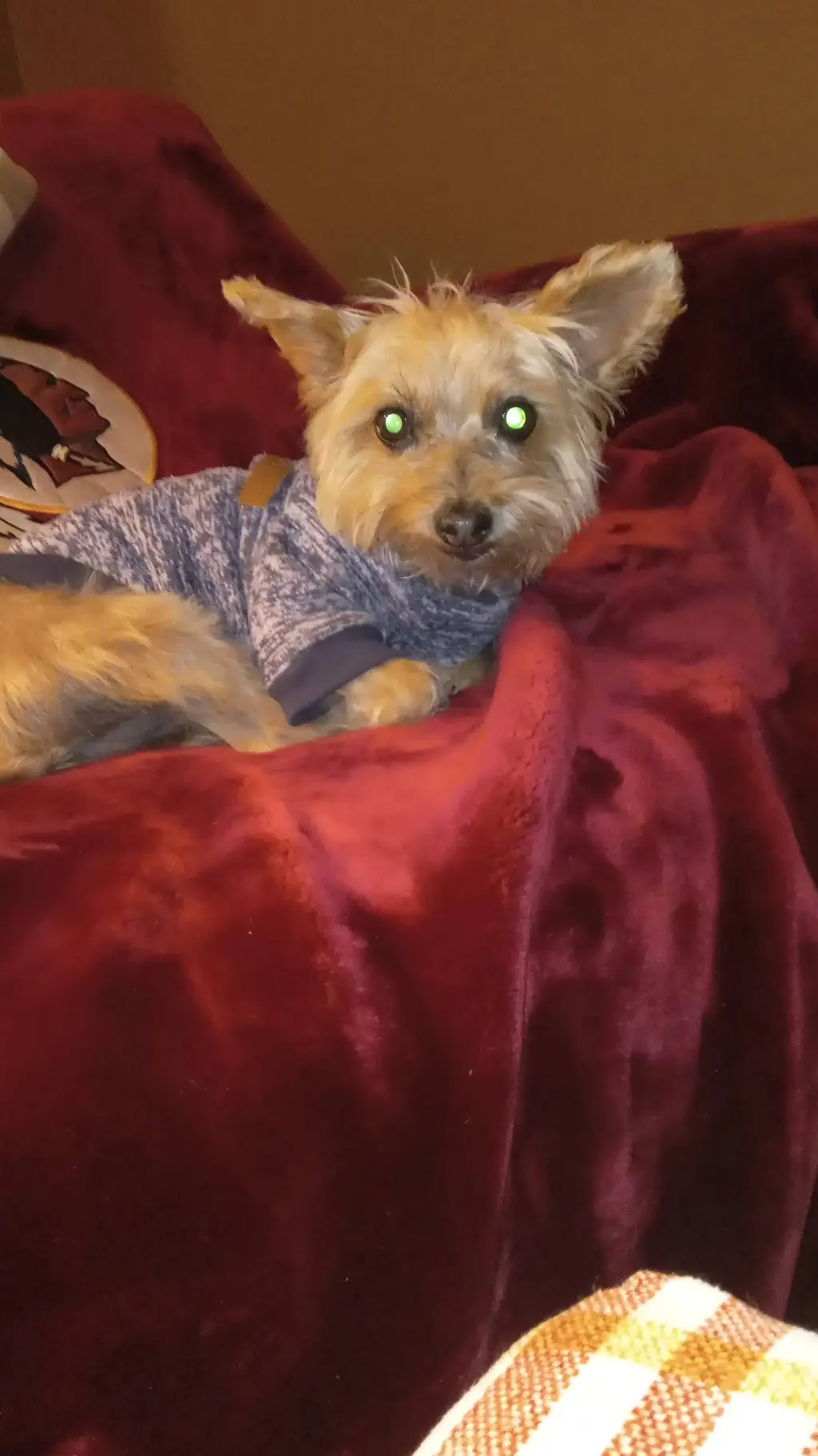 ai character: cosmo background