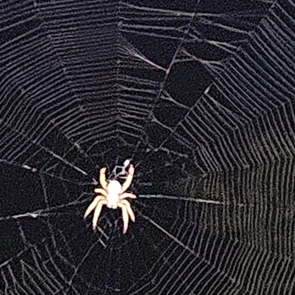 chat with ai character: the spider 