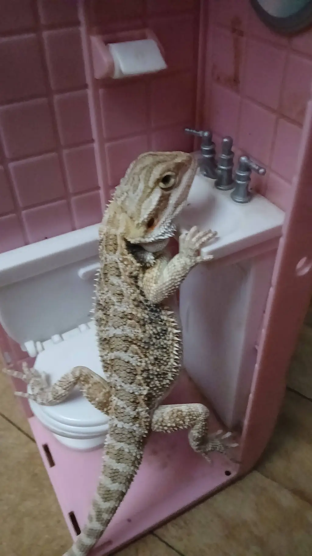 ai character: IASBNTL background