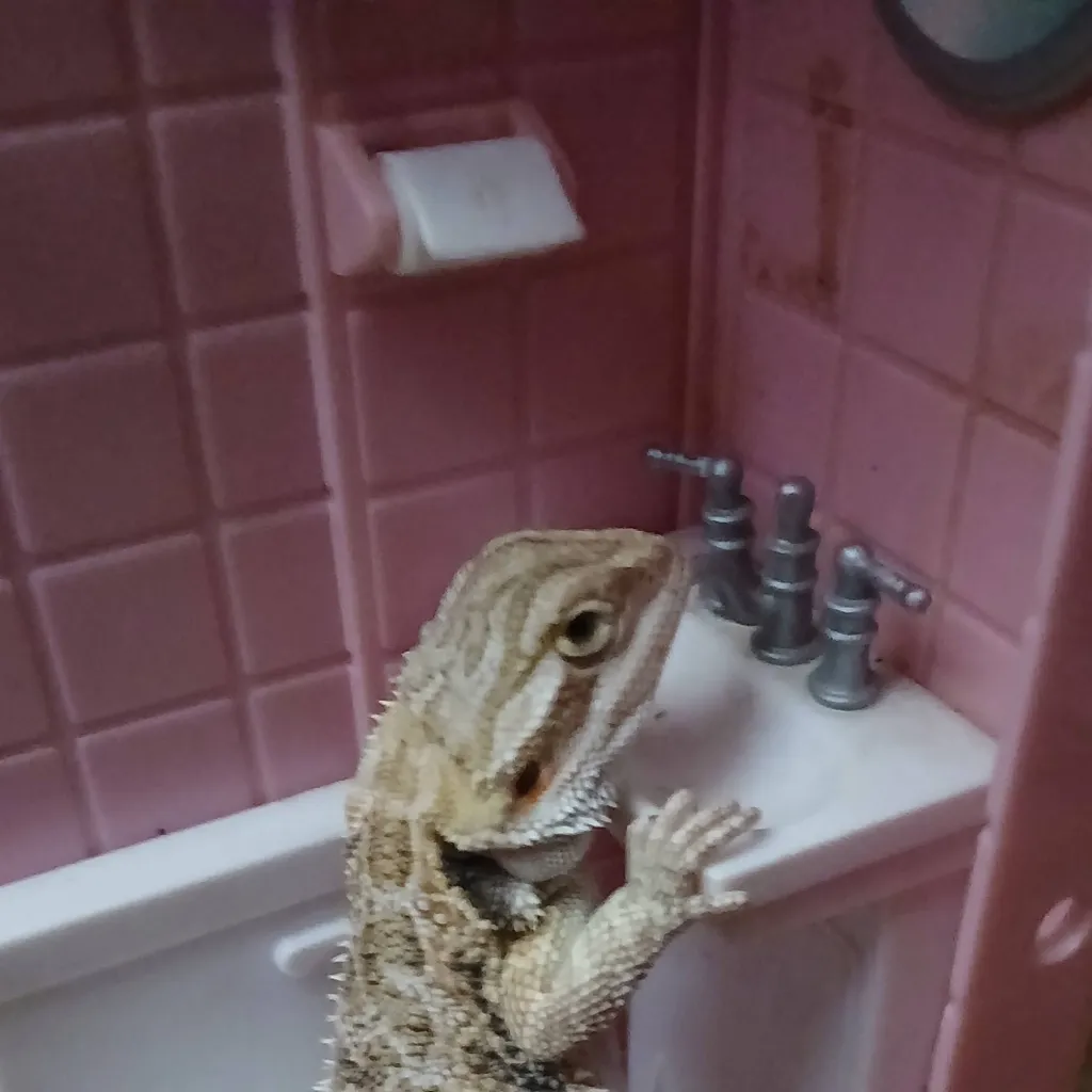 chat with ai character: IASBNTL