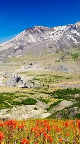 ai character: FPE Mt. St. Helens background
