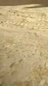 ai character: OCs again background