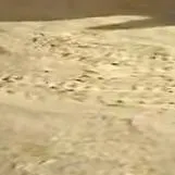 chat with ai character: OCs again