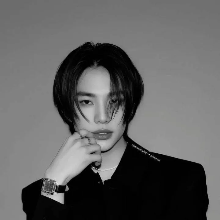 chat with ai character: Hyunjin 